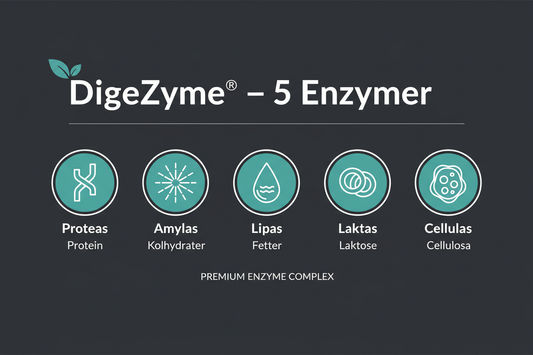 DigeZyme® – vad är det och varför används det i kosttillskott?