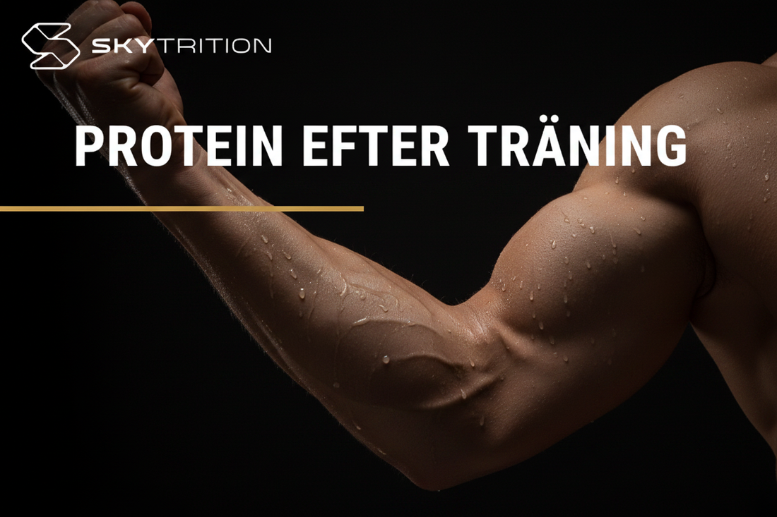 Atlet i återhämtning efter träningspass – post-workout protein för muskeluppbyggnad | Skytrition